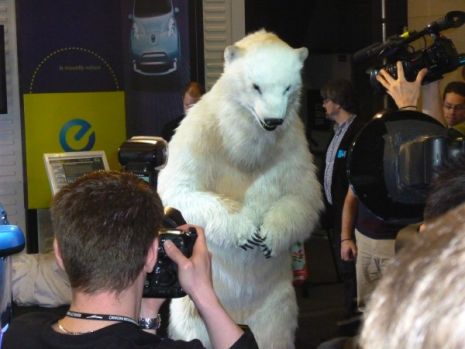 PolarBear.jpg